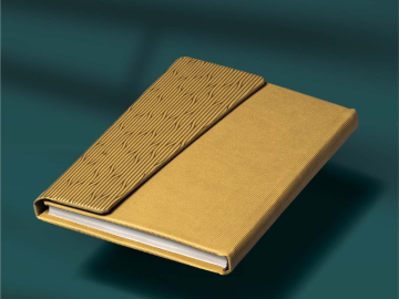 سر رسید شاهین